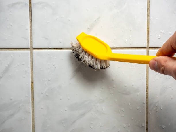 Best Mold Remediation  in Springerville, AZ