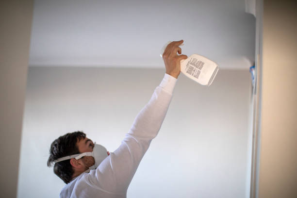 Water Damage Restoration in Springerville, AZ